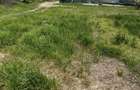 Loturi teren 400 mp Buftea - Darza - 1