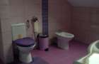 De inchiriat apartament cu 3 camere semidecomandat Zorilor, str. Padurii - 3