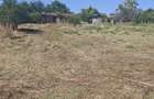 Teren 2.300 mp pe malul bal?ii + casa | Rasmire?ti, Teleorman | Dubla deschidere, curent, pu?, acte - 7