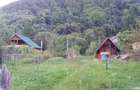Teren de vanzare Brezoi, Pascoaia, Valcea - 4