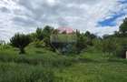 Casă cu teren generos de 2.800 mp la 38 km în satul Elciu - 11