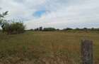 De vanzare teren intravilan 10.000 mp