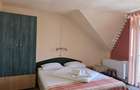 Afacere la chei! Pensiune+Casa (P+M) in aceeasi curte | Baile Felix - 9