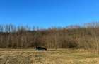 Oază de liniște cu vedere la munți – 2.400 mp lângă Aeroportul Sibiu (Cristian) - 5