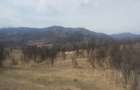Vand pa?une-5000 mp Ideala pentru Cabana A-Frame Glamping - 14