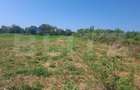 Teren agricol de vanzare, 1600 mp, zona Micro 11 - 1