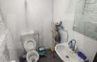 Apartament 2 camere, zona Ultracentrala - Palatul Cenad - 5