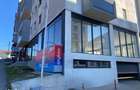 Spatiu Comercial 320 mp Dambul Rotund Cluj - 1