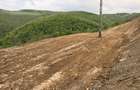 Vand teren pentru cabana pe valea Bratcutei Bratca - 1