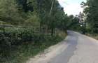 Teren de vinzare in Cheia(Olanesti) - 3