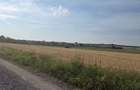 Teren intravilan de vanzare Viile Satu Mare - 12