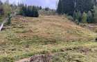 Teren intravilan de vanzare Vatra Dornei, zona telescaun