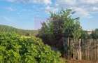 VANZARE TEREN 2150 MP IN SAT TEISORI (GR) - 9