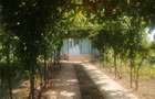 Proprietar vand casa Comision 0% - 5