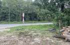 Vand teren intravilan imprejmuit 2.500mp - 9