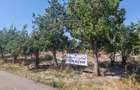 Proprietar vand teren -Teleorman-Radoiesti/Cetate-Comision 0! - 10