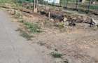 Vand gradina cu intrare din dou strazi - 1