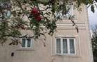 Casa de vanzare in Lunca Pascani - 1