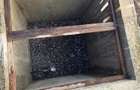 Casa + teren de vanzare in comuna Casin Zona Centrala - Toate utilitatile - 3