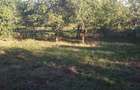 SUPER OFERTA: 5000 mp ,gaze,canalizare, curent jud Iasi Loc. Ceplenita