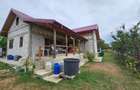 Casă cu 3 camere cu Teren 1500 Mp în Drislea - 6