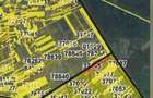 Giurgiu Padurea Bufteanca teren de 10000 mp lotizat intte 500 si 1000 mp