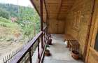 Casa de vacanta Predeal - 4