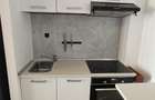Studio de inchiriat situat in H Pipera Lake, parcare subterana - 5