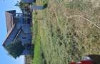 Vanzare teren 600 mp Snagov Ciofliceni - 1