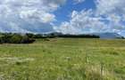 INVESTI?IE | Teren 5000 mp PUZ APROBAT intravilan - zona Sohodol -Bran - 2