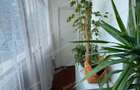Proprietar, 0% comision | 2 camere decomandat 54 mp, Manastur, etaj 1
