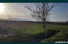 Teren intravilan Simeria 7200 mp - 5
