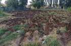 Casă cu Teren 1465 Mp în Dulceanca - 6