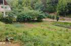 Casa de caramida la rosu, 3765mp teren intravilan, Valea Ariesului, AB - 3
