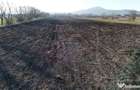 Teren extravilan cu poten?ial ridicat | Harman, zona d... - 1