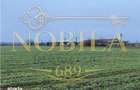 Teren Intravilan 28.000 mp in Onesti pentru Investitii Industri