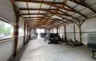 3 Hale + Cladire de birouri, teren 4300 mp, Sebes - 7