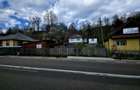 Teren 711mp Hangu / DN GROZAVESTI - Hangu (Neamt) - 5