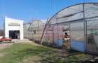 IALOMITA - SE VINDE TEREN 3100 MP - SAT ROSIORI - 4