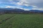 Teren extravilan de vanzare 500 mp Talmaciu, zona apropiata de - 12
