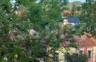 Casa caramida centru istoric Brasov 4 camere - 1