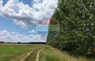 Oportunitate investitie - Potential dezvoltare -Teren 9843 mp Crevedia - 7
