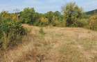 Teren intavilan Campina, 4350 mp. - 6
