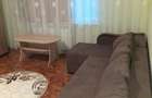 Apartament cu 1 camera de inchiriat in zona Aradului - 3