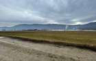 Teren Construcții intravilan de 11500 mp, în Bartolomeu - 5