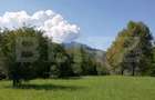 Teren 2500 mp, la strada, Ceahlau,, locatie perfecta - Ceahlau (Neamt)