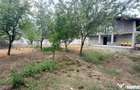 Casa sptioasa cu potential real in Maracineni la 5 pasi de P - 15
