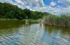 Teren de vanzare SNAGOV pe Lac si Padure