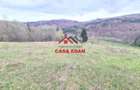 Teren extravilan Valea Doftanei 20.500 mp 6e mp - 12