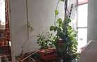 Vand apartament 3 camere zona Gojdu - 4